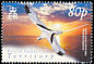 White-tailed Tropicbird Phaethon lepturus  2004 Birds definitives 