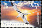 White-tailed Tropicbird Phaethon lepturus