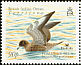 Pomarine Jaeger Stercorarius pomarinus  2007 BirdLife International 