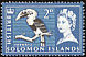 Blyth's Hornbill Rhyticeros plicatus  1965 Definitives 