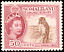 Martial Eagle Polemaetus bellicosus  1953 Definitives 