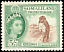 Martial Eagle Polemaetus bellicosus  1953 Definitives 