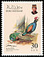 Crested Partridge Rollulus rouloul  1992 Birds 