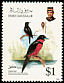 Black-and-red Broadbill Cymbirhynchus macrorhynchos  1993 Birds 