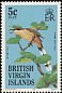 Mangrove Cuckoo Coccyzus minor  1985 Birds of the British Virgin Islands 