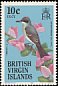 Grey Kingbird Tyrannus dominicensis  1985 Birds of the British Virgin Islands 