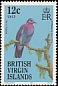 Scaly-naped Pigeon Patagioenas squamosa  1985 Birds of the British Virgin Islands 