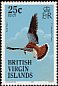 American Kestrel Falco sparverius  1985 Birds of the British Virgin Islands 
