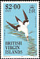 Masked Booby Sula dactylatra  1985 Birds of the British Virgin Islands 