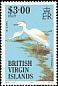 Western Cattle Egret Bubulcus ibis  1985 Birds of the British Virgin Islands 