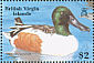 Northern Shoveler Spatula clypeata  1988 Wildlife  MS