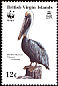 Brown Pelican Pelecanus occidentalis  1988 WWF 