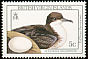 Audubon's Shearwater Puffinus lherminieri  1990 Birds 