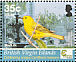 Mangrove Warbler Setophaga petechia  2005 Birdlife International Sheet