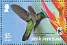 Antillean Crested Hummingbird Orthorhyncus cristatus  2014 WWF  MS