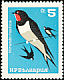 Barn Swallow Hirundo rustica  1965 Birds 