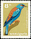 European Roller Coracias garrulus  1965 Birds 