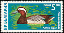 Garganey Spatula querquedula  1976 Waterfowl 