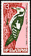 Middle Spotted Woodpecker Dendrocoptes medius  1978 Woodpeckers 