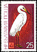 Great Egret Ardea alba  1981 Birds 
