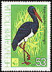 Black Stork Ciconia nigra  1981 Birds 