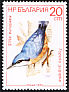 Eurasian Nuthatch Sitta europaea  1987 Birds 