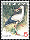 White Stork Ciconia ciconia  1988 Birds 