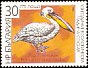 Great White Pelican Pelecanus onocrotalus  1988 Sofia Zoo 6v set