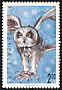 Short-eared Owl Asio flammeus  1992 Owls 