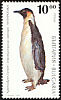 Emperor Penguin Aptenodytes forsteri