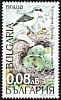 Lesser Grey Shrike Lanius minor  1999 Birds 
