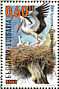 White Stork Ciconia ciconia  2000 Storks  MS