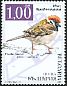 Eurasian Tree Sparrow Passer montanus  2017 Sparrows 