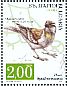 Rock Sparrow Petronia petronia  2017 Sparrows Sheet