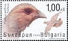 Grey Partridge Perdix perdix  2021 Game birds 