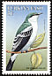 White-shouldered Triller Lalage sueurii  1998 Birds 