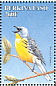 Kirtland's Warbler Setophaga kirtlandii  1998 Birds Sheet