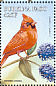 Northern Cardinal Cardinalis cardinalis  1998 Birds Sheet