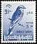 Indochinese Roller Coracias affinis  1964 Burmese birds 