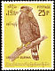 Crested Serpent Eagle Spilornis cheela  1964 Burmese birds 