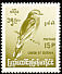 Indochinese Roller Coracias affinis  1968 Burmese birds Changed format