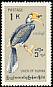 Oriental Pied Hornbill Anthracoceros albirostris  1968 Burmese birds Changed format