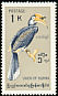 Oriental Pied Hornbill Anthracoceros albirostris