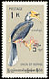 Oriental Pied Hornbill Anthracoceros albirostris