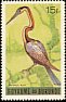 African Darter Anhinga rufa  1965 Birds 