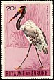 Saddle-billed Stork Ephippiorhynchus senegalensis  1965 Birds 