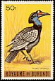 Abyssinian Ground Hornbill Bucorvus abyssinicus  1965 Birds 