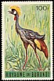 Grey Crowned Crane Balearica regulorum  1965 Birds 