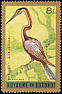 African Darter Anhinga rufa  1965 Birds Gold border