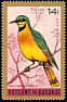 Little Bee-eater Merops pusillus  1965 Birds Gold border